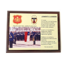 GALVANO CON PLACA METALICA FULL COLOR, DORADA Y PLATEADA , MADERA MDF TAMAÑO 30X20, 33X26CM , 30X38CM, 50X40 CM   ENTREGAS 48 HORAS